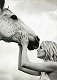MISSFOXYSWEETCHERRY's Avatar