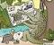 Crocodile's Avatar